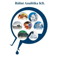 Bálint Analitika Kft.