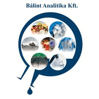 Bálint Analitika Kft.
